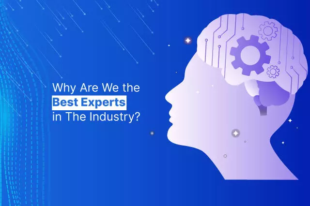 Why Are We the Best Experts in The Industry